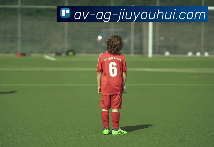 AG九游会官网平台生态图